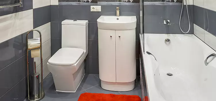 Hansgrohe Shaving Mirror Yonkers